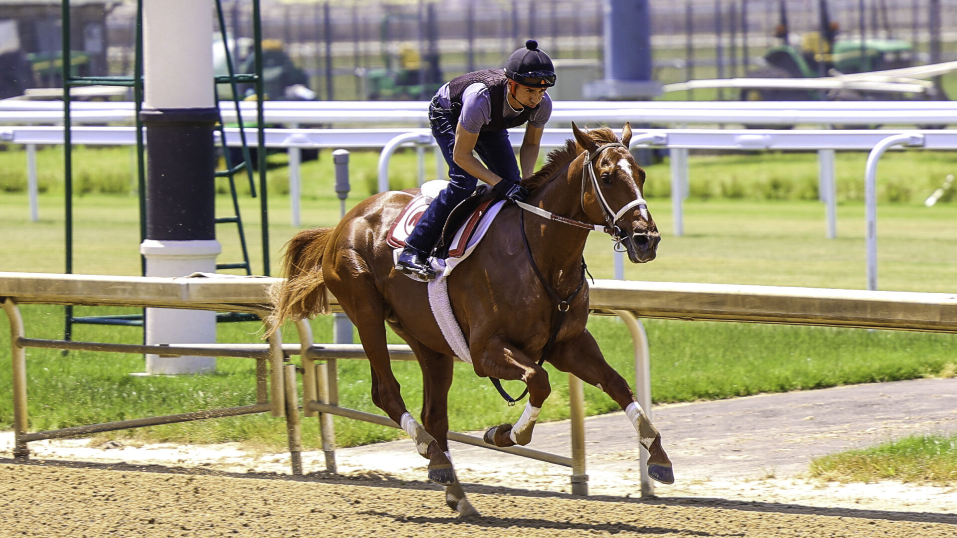Derby winner Rich Strike prepping for Breeders' Cup at Keeneland